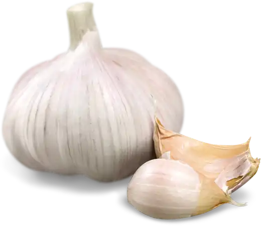 ajo