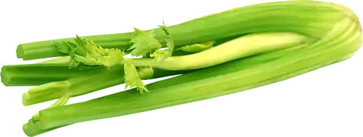 apio