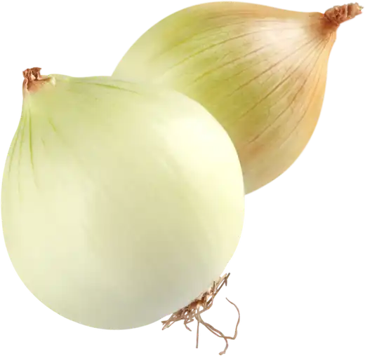 cebolla
